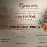 Parlagi-Vadász Cimbora & Utazó Borfüge